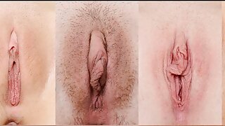 รองเท้าไม่มีส้นโป๊แล ...